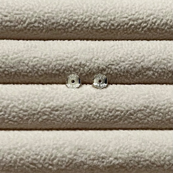 Elegant Silver and Black Stud Earrings - Picture 7 of 7